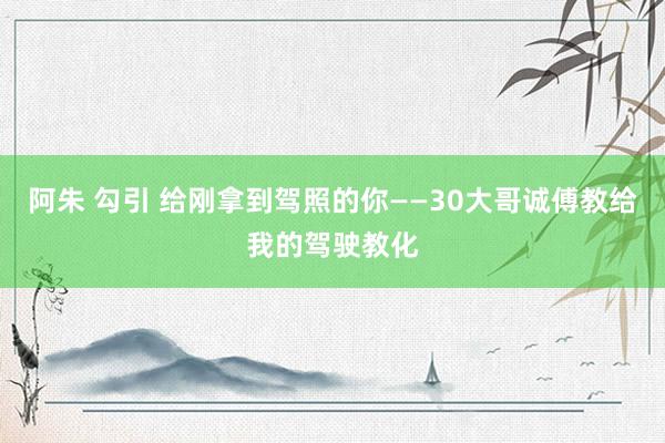 阿朱 勾引 给刚拿到驾照的你——30大哥诚傅教给我的驾驶教化