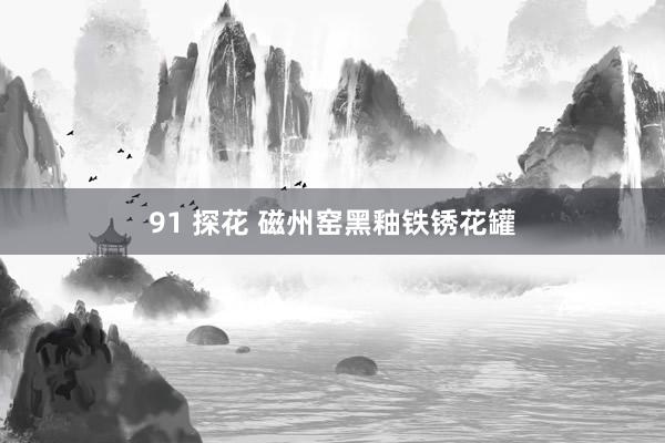 91 探花 磁州窑黑釉铁锈花罐