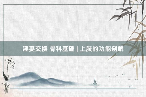 淫妻交换 骨科基础 | 上肢的功能剖解