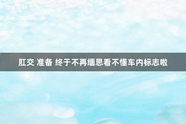 肛交 准备 终于不再缅思看不懂车内标志啦