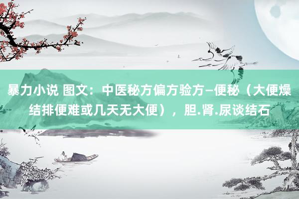 暴力小说 图文：中医秘方偏方验方—便秘（大便燥结排便难或几天无大便），胆.肾.尿谈结石