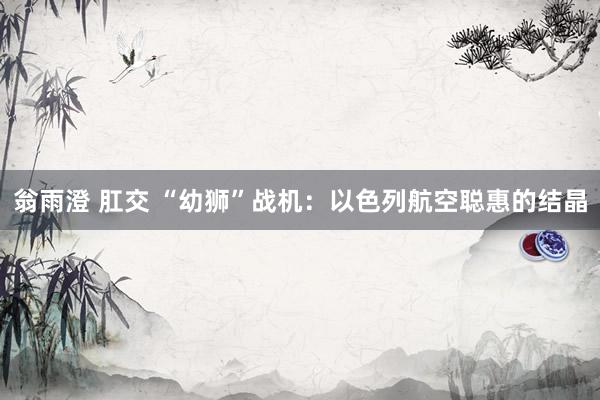 翁雨澄 肛交 “幼狮”战机：以色列航空聪惠的结晶