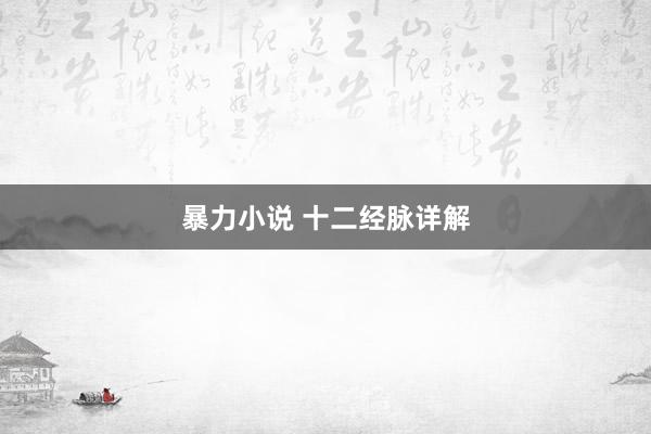 暴力小说 十二经脉详解