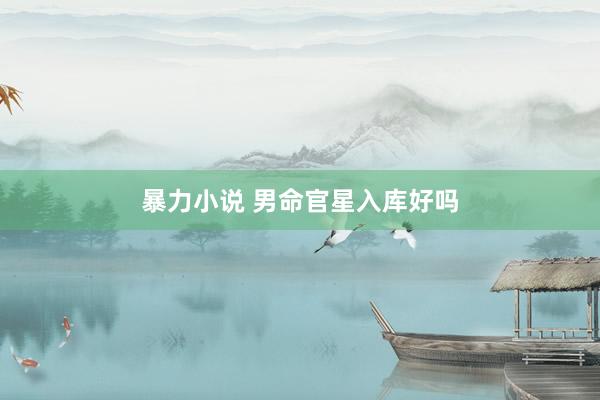 暴力小说 男命官星入库好吗